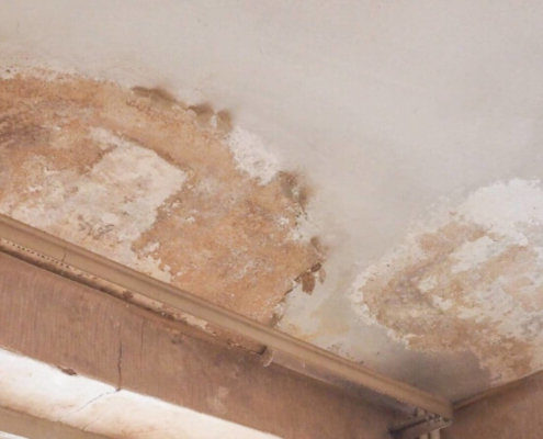 INFILTRAZIONI E MANCATO PAGAMENTO DI CANONE ED ONERI CONDOMINIALI